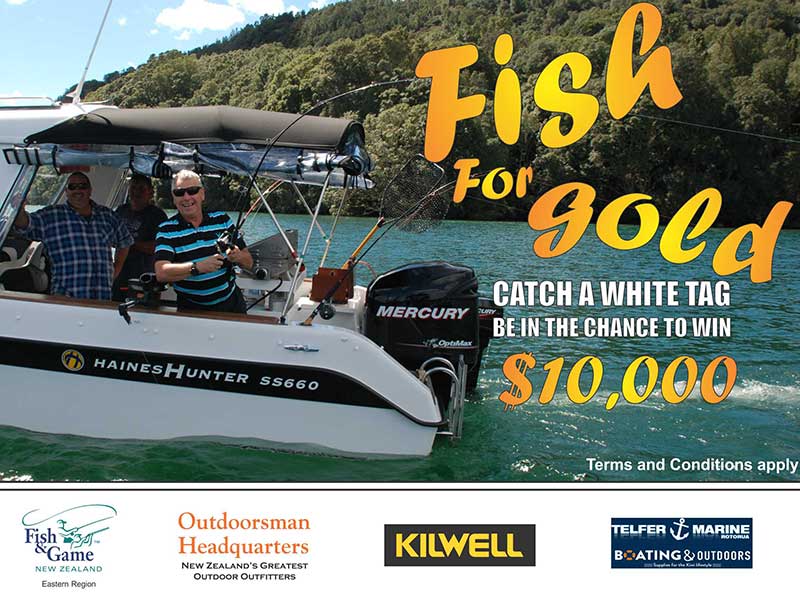 Win $10,000 prize with Fish & Game’s Fish for Gold