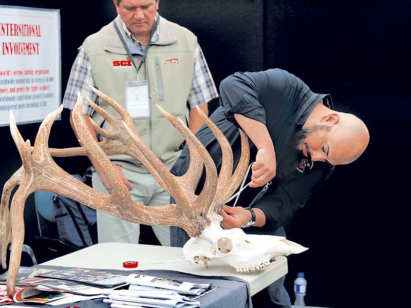 Sika Show returns to Taupo