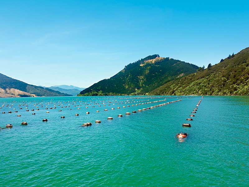 Ambitious plan to earn $3b from aquaculture