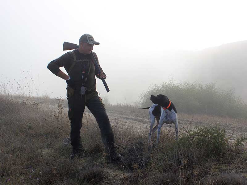 NZ duck hunting 2020