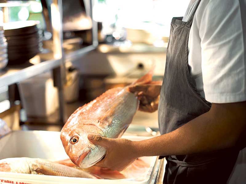 Introducing the New Zealand Seafood Sustainability Awards