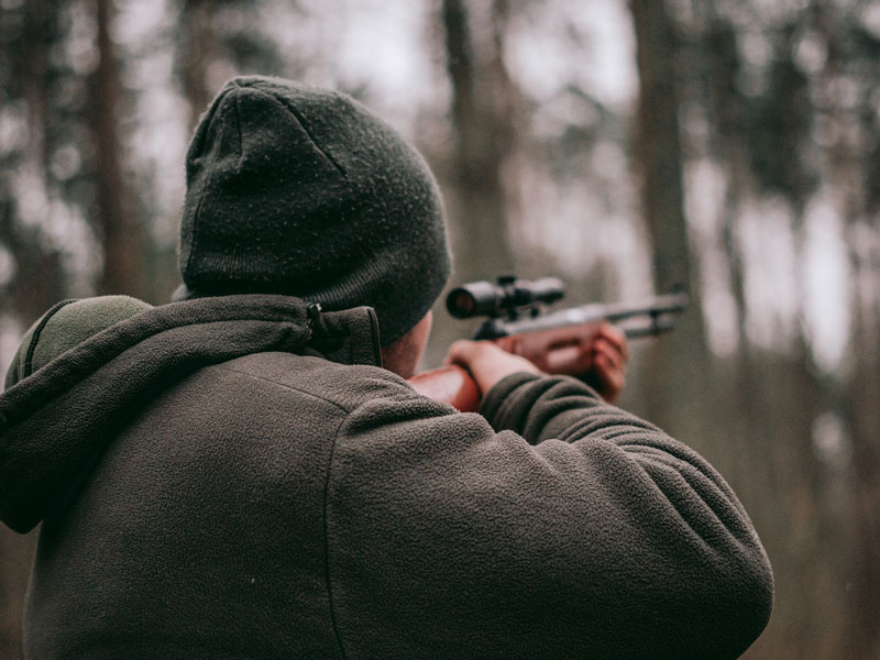 Illegal hunting North Canterbury