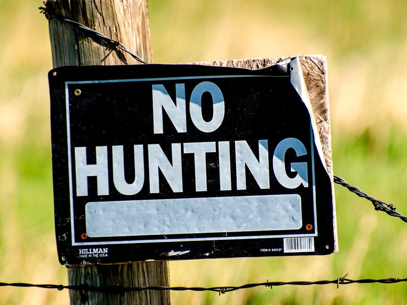 Five men arrested over illegal hunting in Waitomo