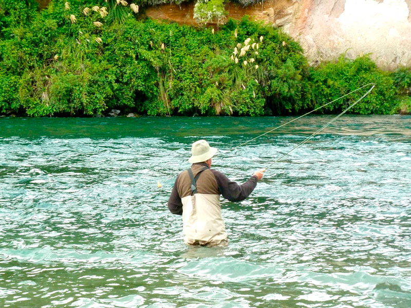 Prime time for Taupo River trout