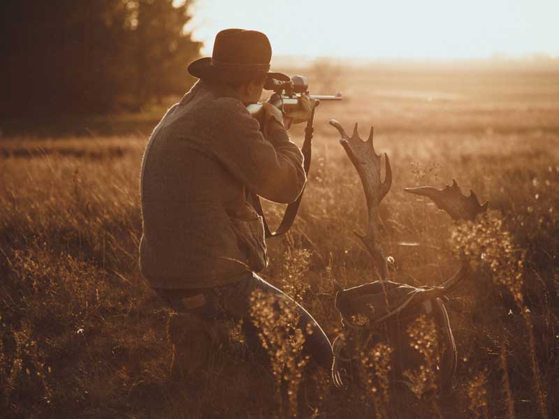 Deer stalking in winter: hunt higher, sunny slopes