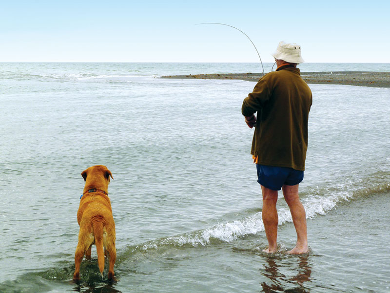 Whitebait estuary runs entice trout, kahawai, and anglers