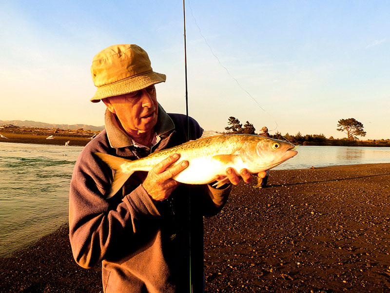 Saltwater fly rod sport with kahawai