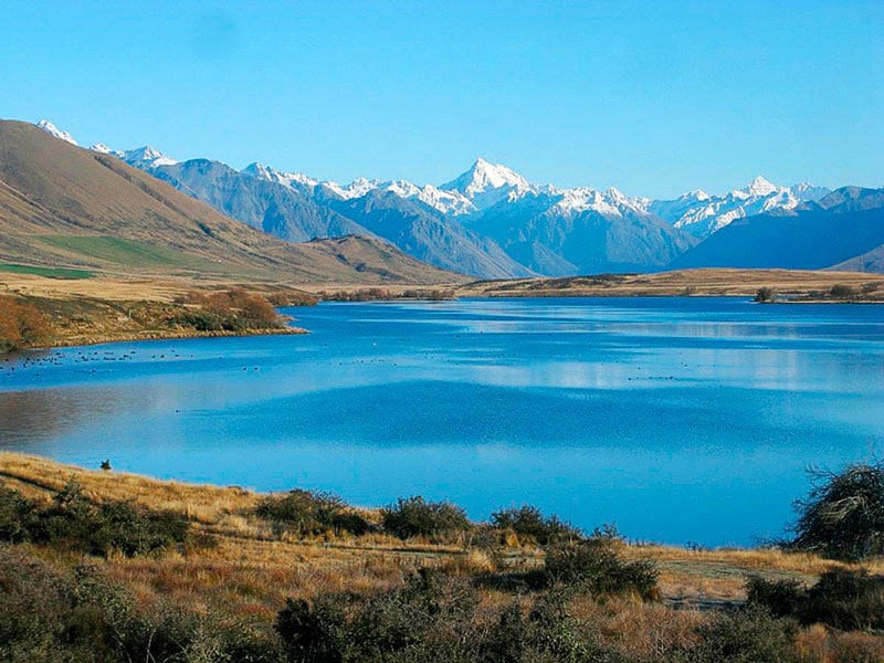 Toxic algae bloom closes once-pristine lake