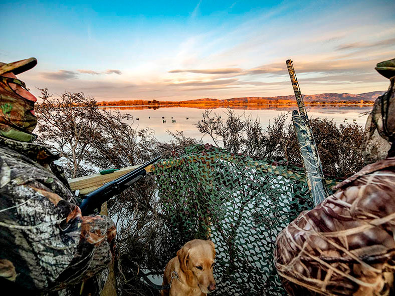 Central South Island game bird hunting ballots open now