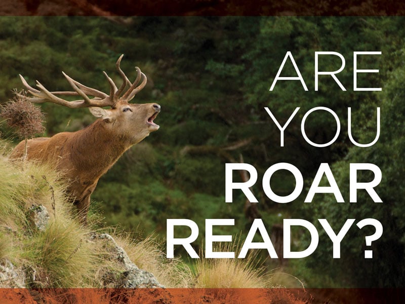 GAC reminding hunters to be ‘roar ready’