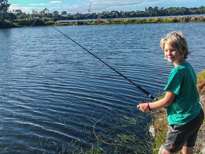 Rainbow trout released in Lake Pupuke