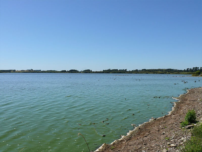 New wetland project aims to restore Lake Horowhenua