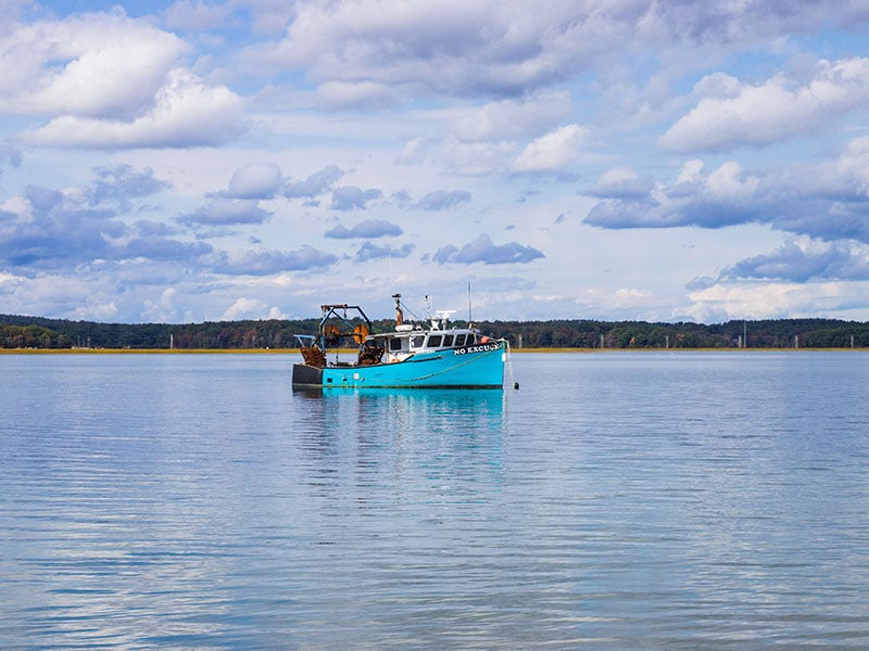 Cameras on commercial fishing vessels