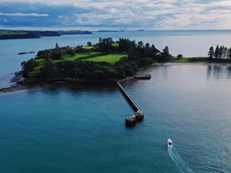 New protection areas and fishing restrictions for Hauraki Gulf