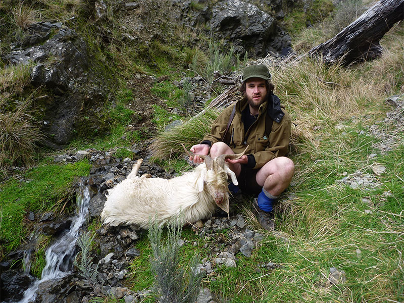 New DOC, NZDA hunting competition targets feral goats