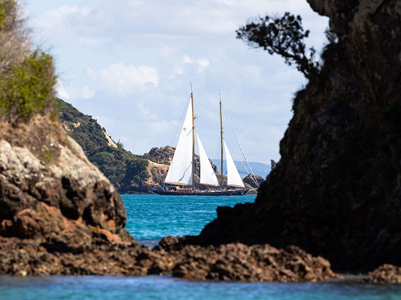 Superyacht fishing competition coming to NZ in 2022