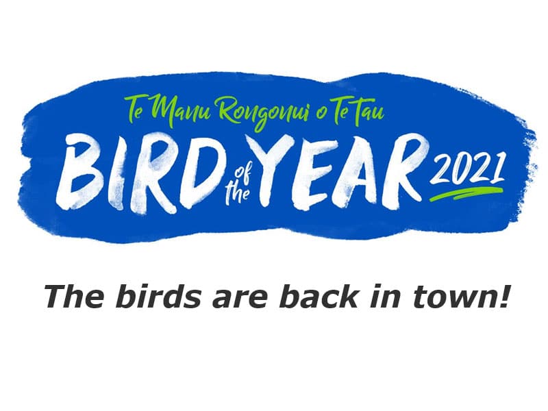 Bird of the Year is back