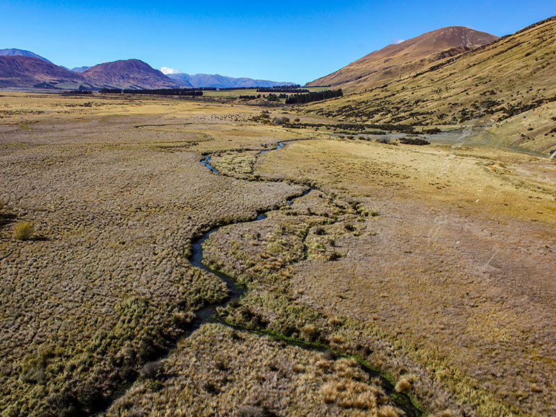 Habitat-protection-project-Rakaia-River