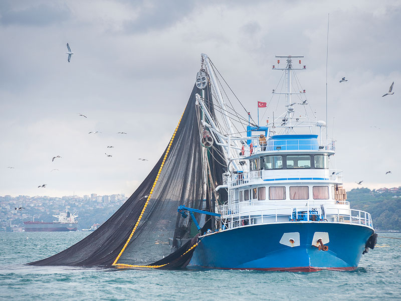 Rollout of cameras on fishing vessels to begin