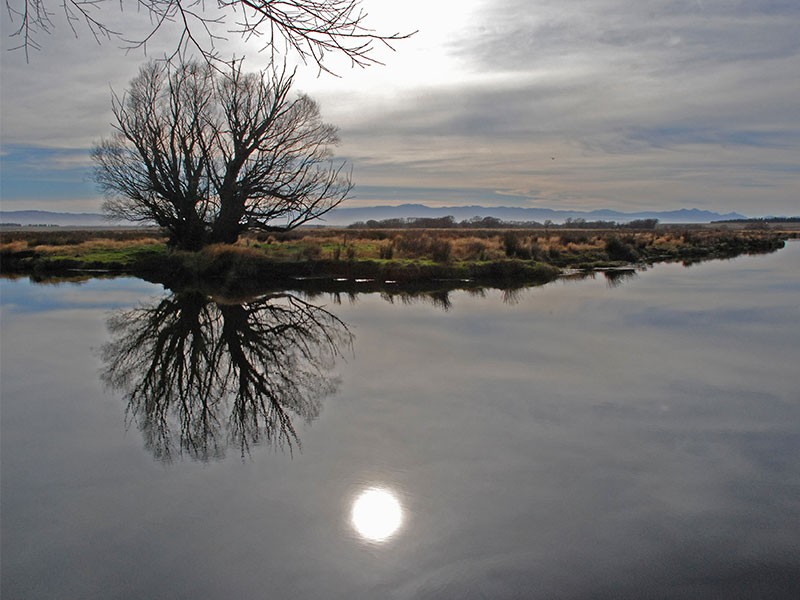 Fishing access boosted in Otago