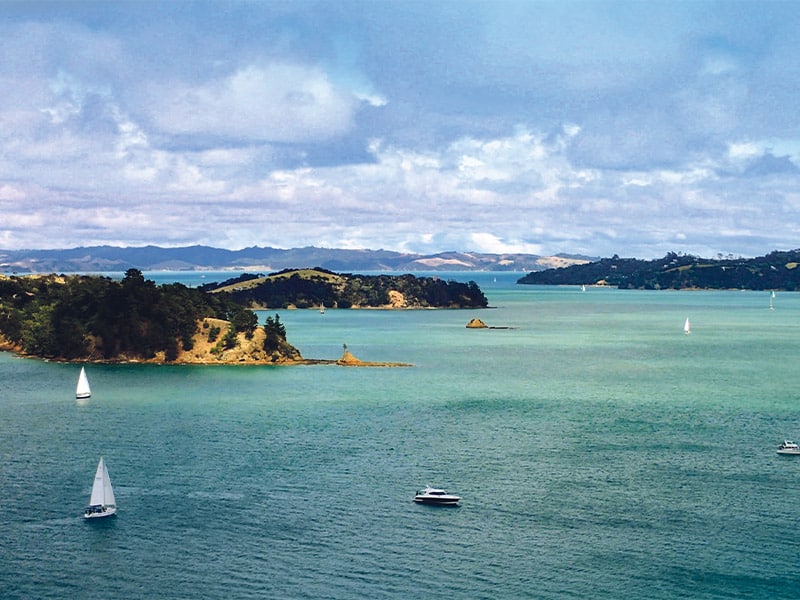 Revitalising the Hauraki Gulf