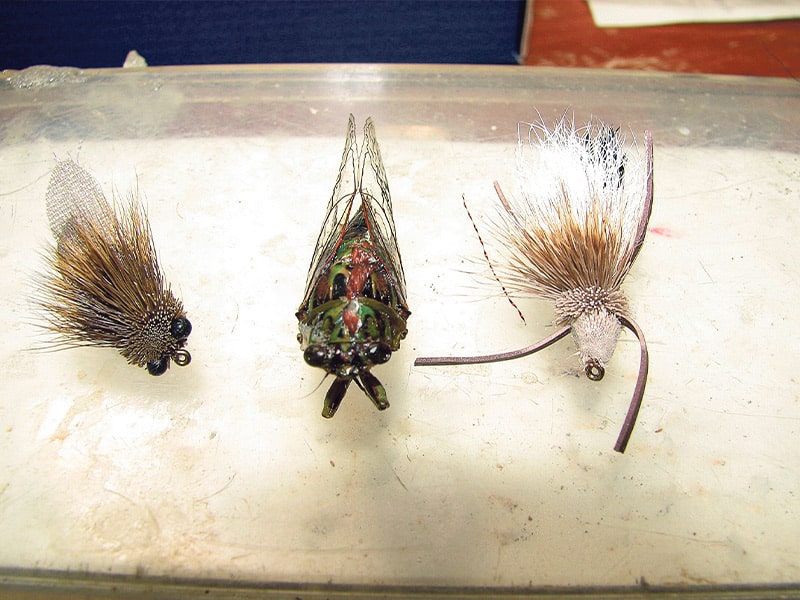 Tackle and tactics: summer insects for trout fishing