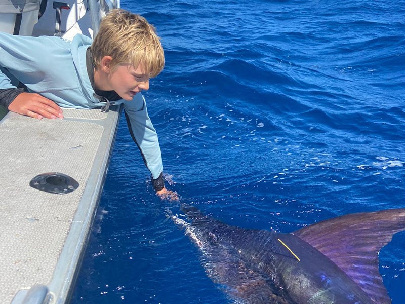 Bay of Islands Swordfish Club calls for tighter tag and release rules in tournaments