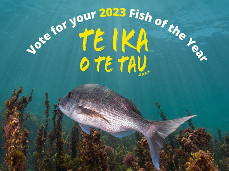 Voting open for Fish of the Year 2023