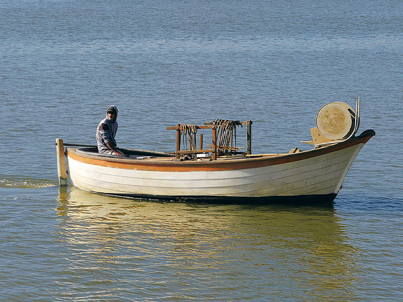 Hokianga Harbour electric boat