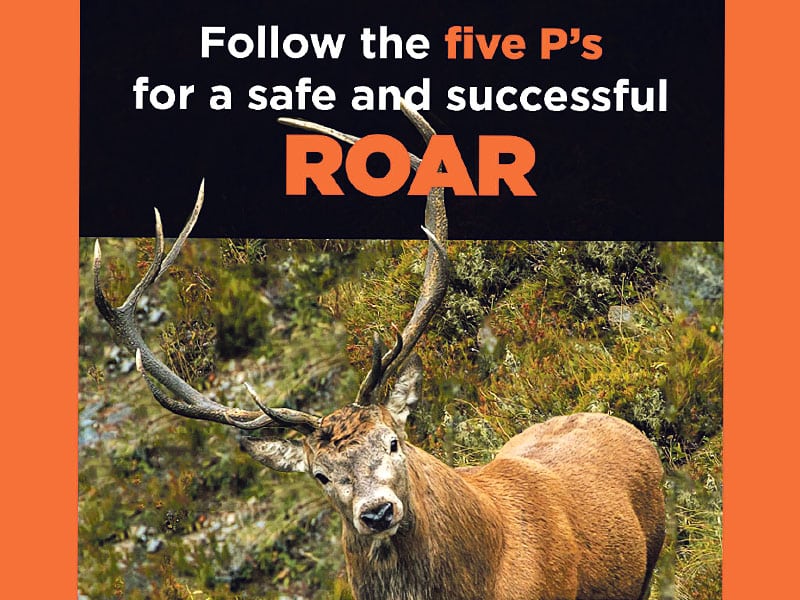 Follow the 5 Ps for a safe and successful Roar