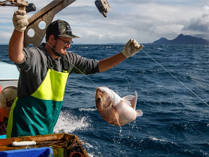 Seafood Sustainability Awards 2023