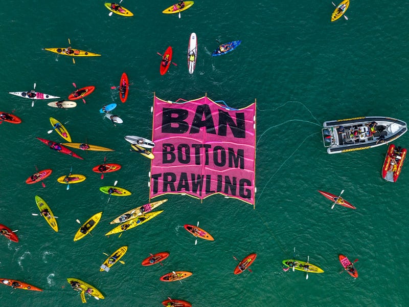 Hundreds turn out to oppose Hauraki Gulf bottom trawling