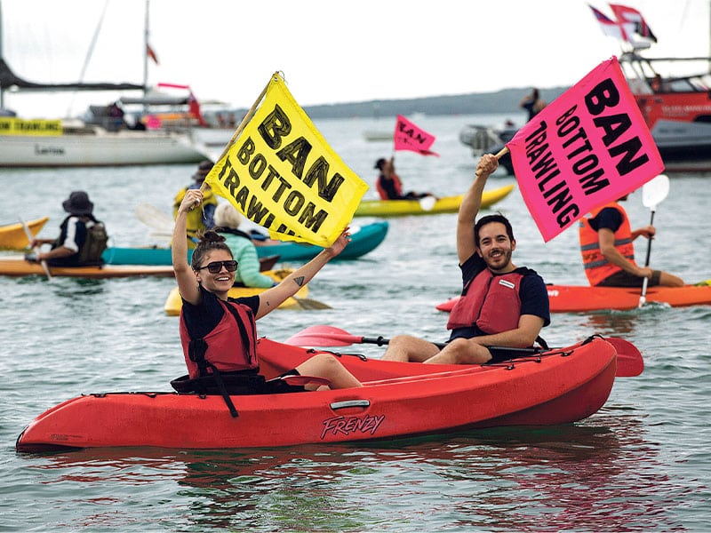 Trawling in Auckland’s Hauraki Gulf remains under scrutiny