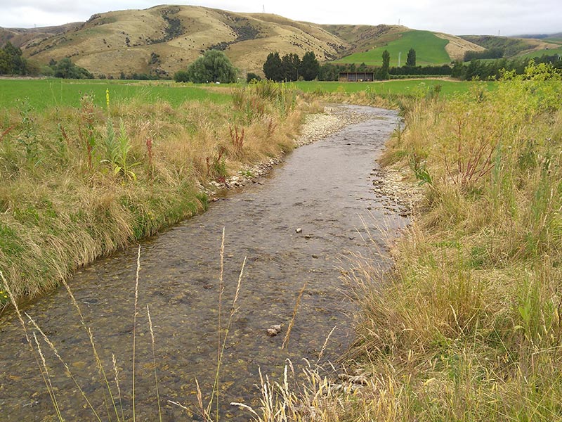 Research identifies key trout spawning streams in lower Clutha River