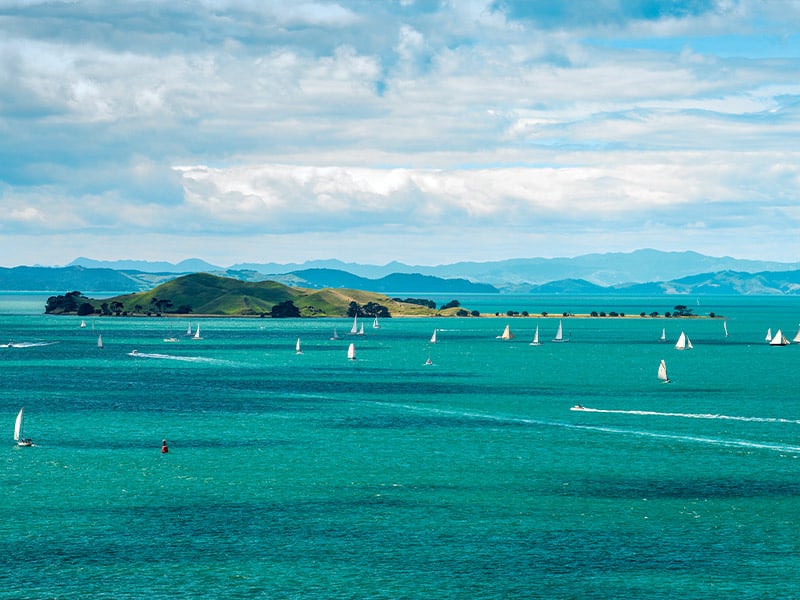 Protection areas in Hauraki Gulf to triple under new legislation