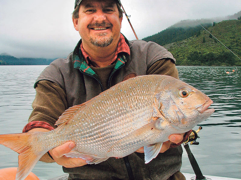 Snapper fishing