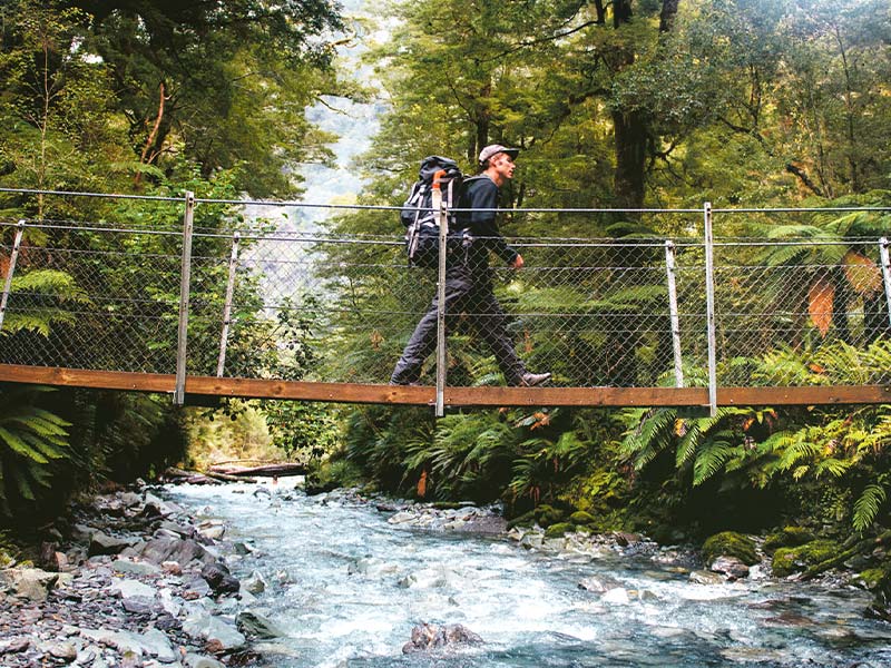 Hollyford Valley