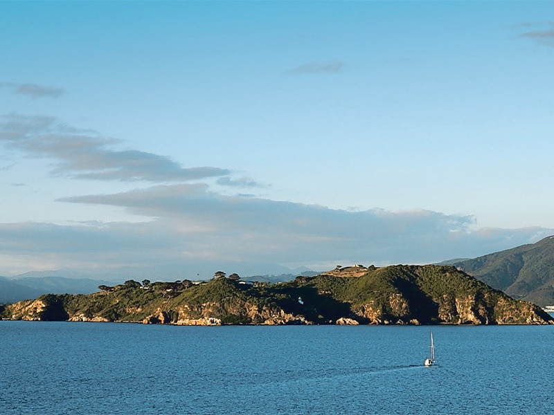 Somes Island