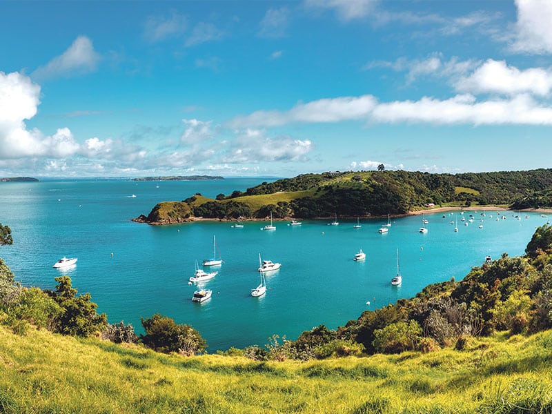 Fishing closures proposed for the Hauraki Gulf