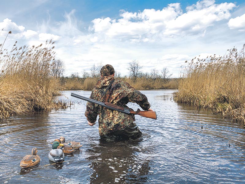 Pothole duck hunting