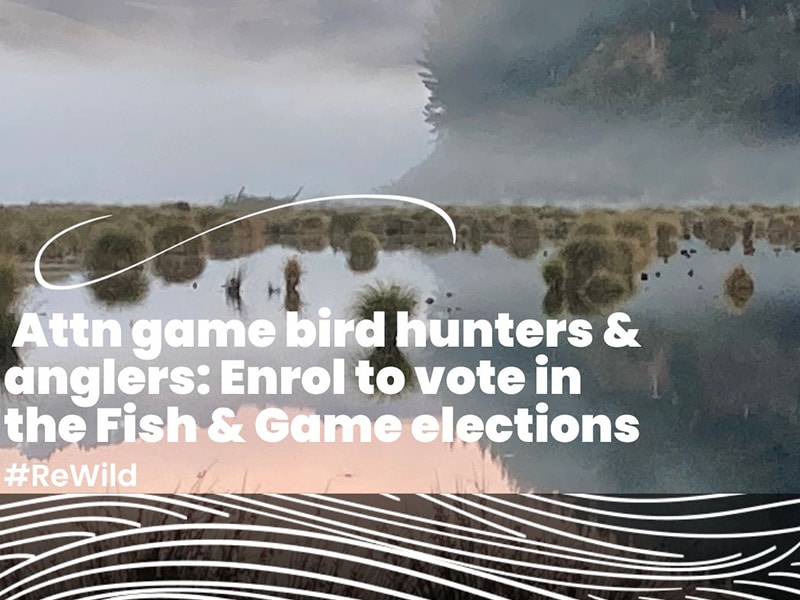 Fish & Game elections